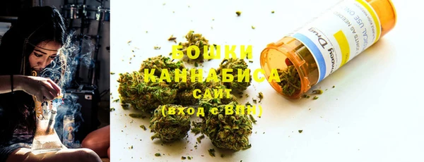 дживик Богородицк