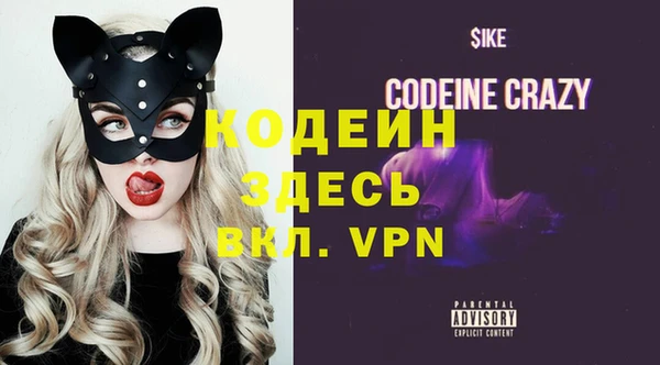 дживик Богородицк