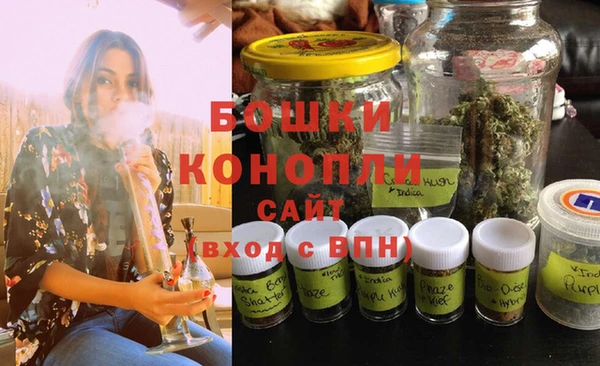 дживик Богородицк