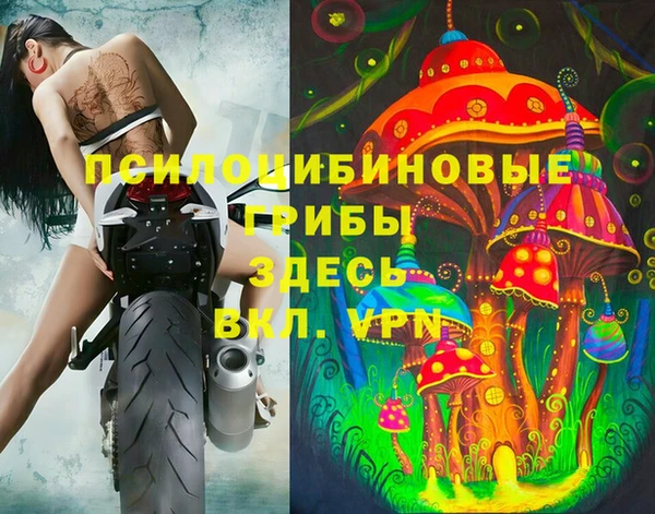 дживик Богородицк