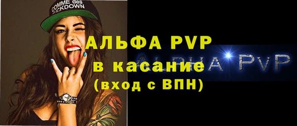 дживик Богородицк