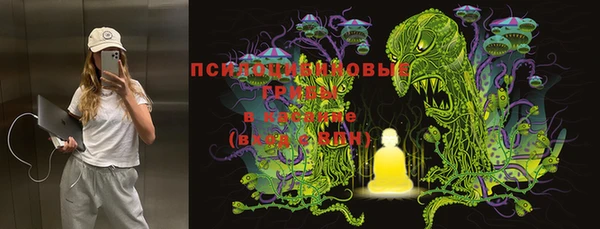 марки nbome Богданович