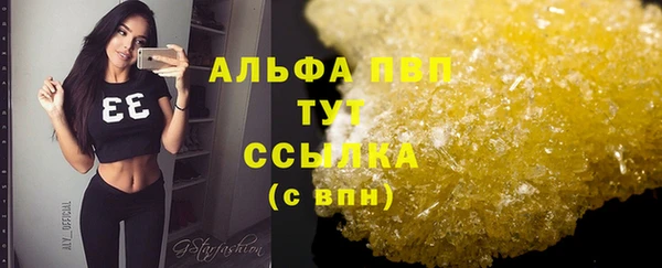 дживик Богородицк